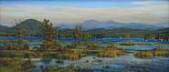 David Coughtry - Tupper Lake, Adirondacks, 1991