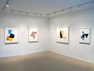 Joel Shapiro Installation View