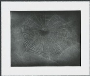 Untitled (Web 3)