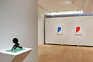 New & Recent Editions (Installation View)