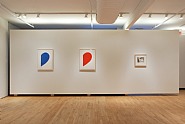 New & Recent Editions (Installation View)