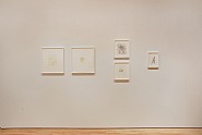 New & Recent Editions (Installation View)