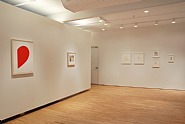 New & Recent Editions (Installation View)