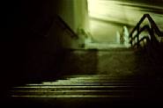 Nightscene 14v