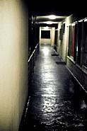 Nightscene 01v