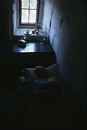 Convalescence