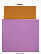 Jenny Holzer - -51- (Paintings) h: 58 x w: 44 in / h: 147.3 x w: 111.8 cm