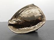 Marc Quinn - Big Wheel Keeps on Turning (Cassis madagascariensis) (Sculptures) h: 83 x w: 95 x d: 90 cm / h: 32.7 x w: 37.4 x d: 35.4 in