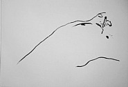 Life is a lonely Buffalo