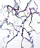 Adam Fuss - From the series ‘Details of Love’ (Prints and Multiples) h: 57.2 x w: 49 x d: 2 in / h: 145.3 x w: 124.5 x d: 5.1 cm