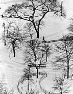 André Kertész - Washington Square Day (Photographs)