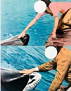 John Baldessari - Two Whales (with People), 2010