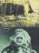 John Baldessari - Leg, Straw, Diver, 1986