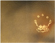 Francisco Toledo - Cangrejo I (Works on Paper (Drawings, Watercolors etc.)) h: 15 x w: 20 in / h: 38.1 x w: 50.8 cm