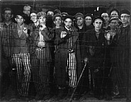 Margaret Bourke-White - Buchenwald Prisoners, 1945 (Time Inc.) (Photographs) h: 16 x w: 20 in / h: 40.6 x w: 50.8 cm