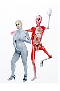 Face FS82 Pregnant Woman and Man