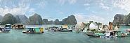 Halong X