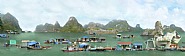 Halong VII
