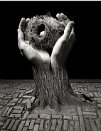 Journey Into Night