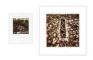 Andy Goldsworthy - Elm branches and mud, raining, Townhead Burn, Dumfriesshire, 12 & 13 January 2006 (Photographs)
