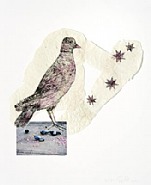 Kiki Smith - Birds with Stars (Works on Paper (Drawings, Watercolors etc.)) h: 55 x w: 45 cm / h: 21.7 x w: 17.7 in