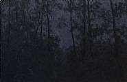 Shadow of Light - 2