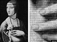 ERMINE vs DA VINCI