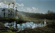 Pond
