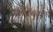 Tinted Waters