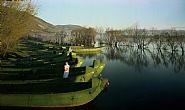 Fishing Boats