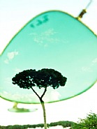 Ray-Ban Series, One