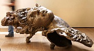 Javier Marin - Cabeza de Mujer Chicogrande (Sculptures) h: 51 x w: 112 x d: 43 in / h: 129.5 x w: 284.5 x d: 109.2 cm