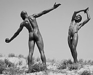 Two Videos, three photographs, several related masterpieces, and American art