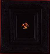 Mat Collishaw - Burning Flowers I (Photographs) h: 61 x w: 56 cm / h: 24 x w: 22 in