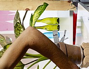 Arm, Plant, Bottles, Wood