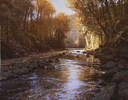 Warm Autumn Evening