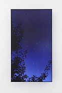 Shooting Star