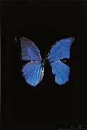 Damien Hirst - <!--01-->The Soul on Jacob's Ladder (Prints and Multiples)