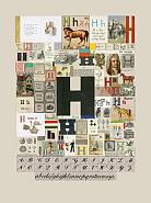 The Letter “H”