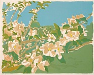 Apple Blossoms II
