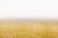 Land Cycle #16