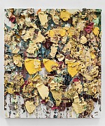 Yellow Yulan Magnolia Spread on the Floor