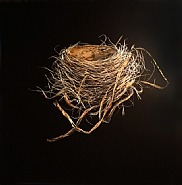 Robin's Nest, Fall