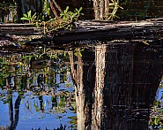 Surface Reflection