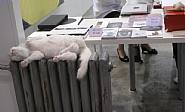 Booth view HK Art Fair - Mu Boyan