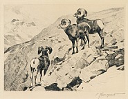 Lot 4: Cliff Dwellers