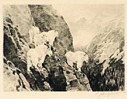 Lot 1: Goats
