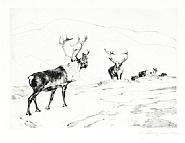 Lot 3: The Stranger