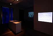 Exhibition view