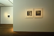 Exhibition view